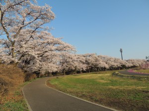 DSCN2500