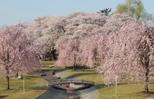 DSCN2522