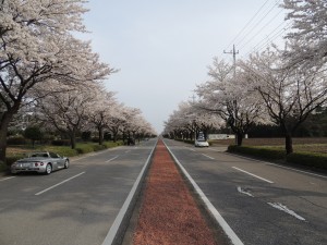DSCN2597