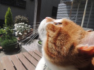 DSCN2662