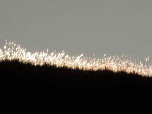 DSCN3064