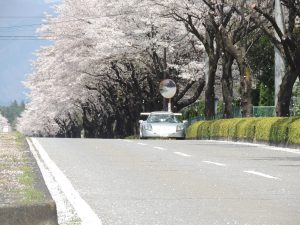 A-DSCN3639