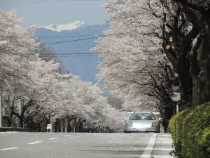 A-DSCN3676